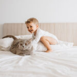 adorable smiling child playing with grey british shorthair on bed at home