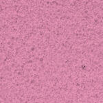 strato-feel-hd_Ethikos_Spazio_Vitale_Trissino_Vicenza
